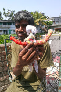 shuktara home for boys with disabilities - 2017 March - Sunil holding his doll